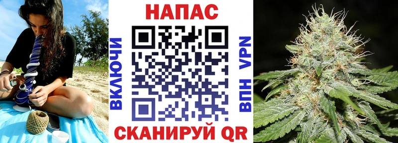 Шишки марихуана конопля Ставрополь